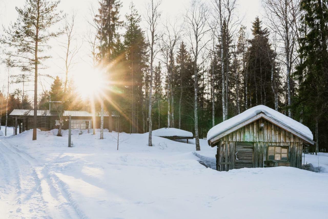 Ollero Eco Lodge Rovaniemi Buitenkant foto