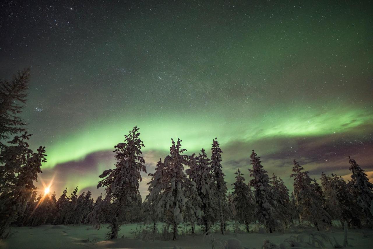 Ollero Eco Lodge Rovaniemi Buitenkant foto